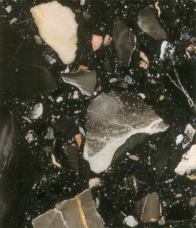 Nero Portoro
