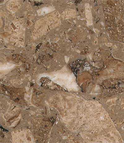 Rasotica