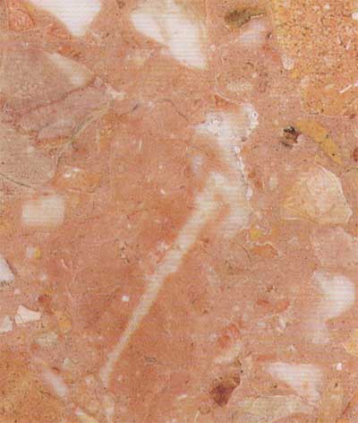 Rosa del Garda