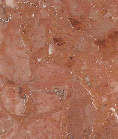 Rosa Asiago
